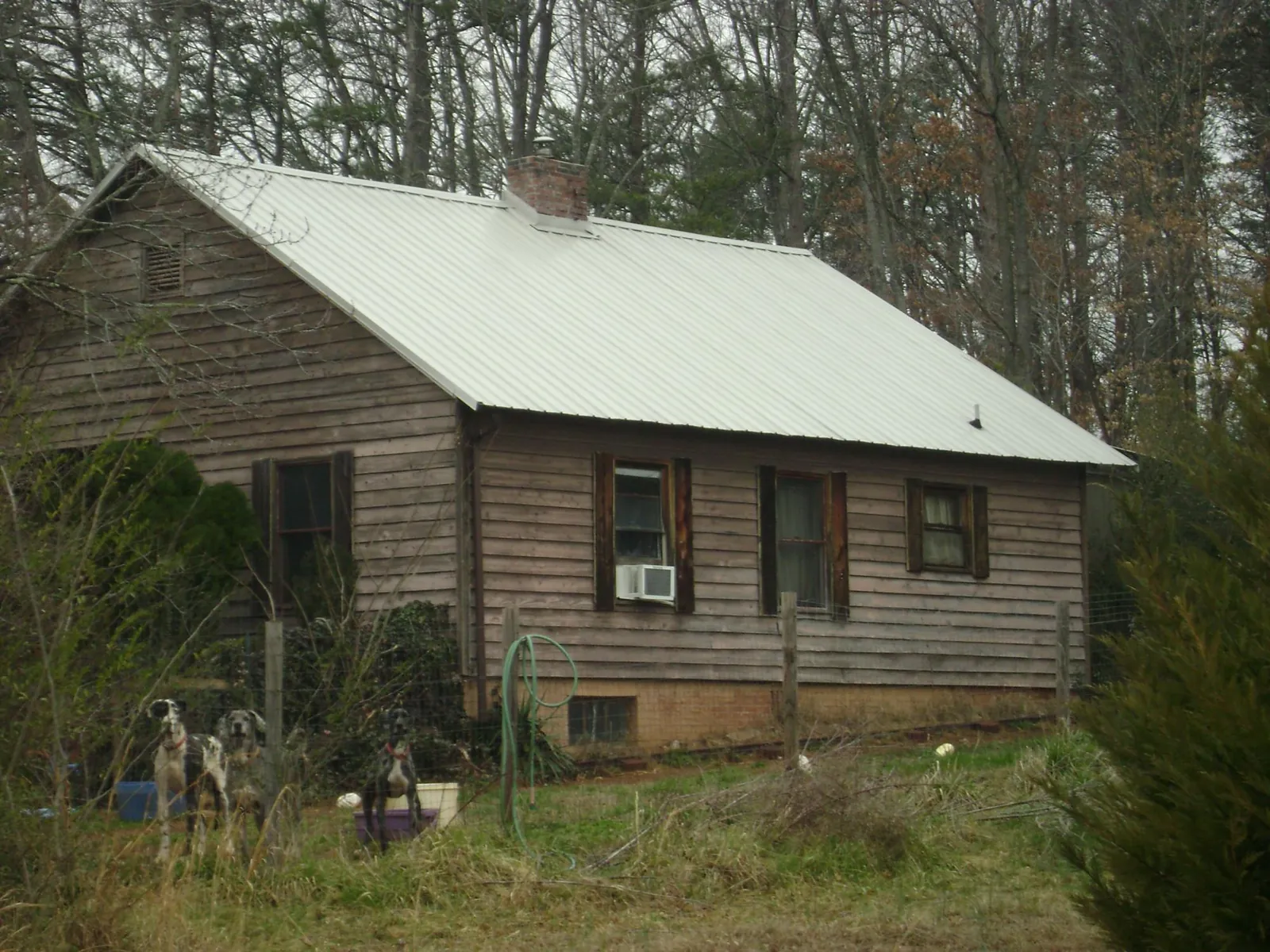 White metal roof on an old wood sided farmhouse in Nolensville